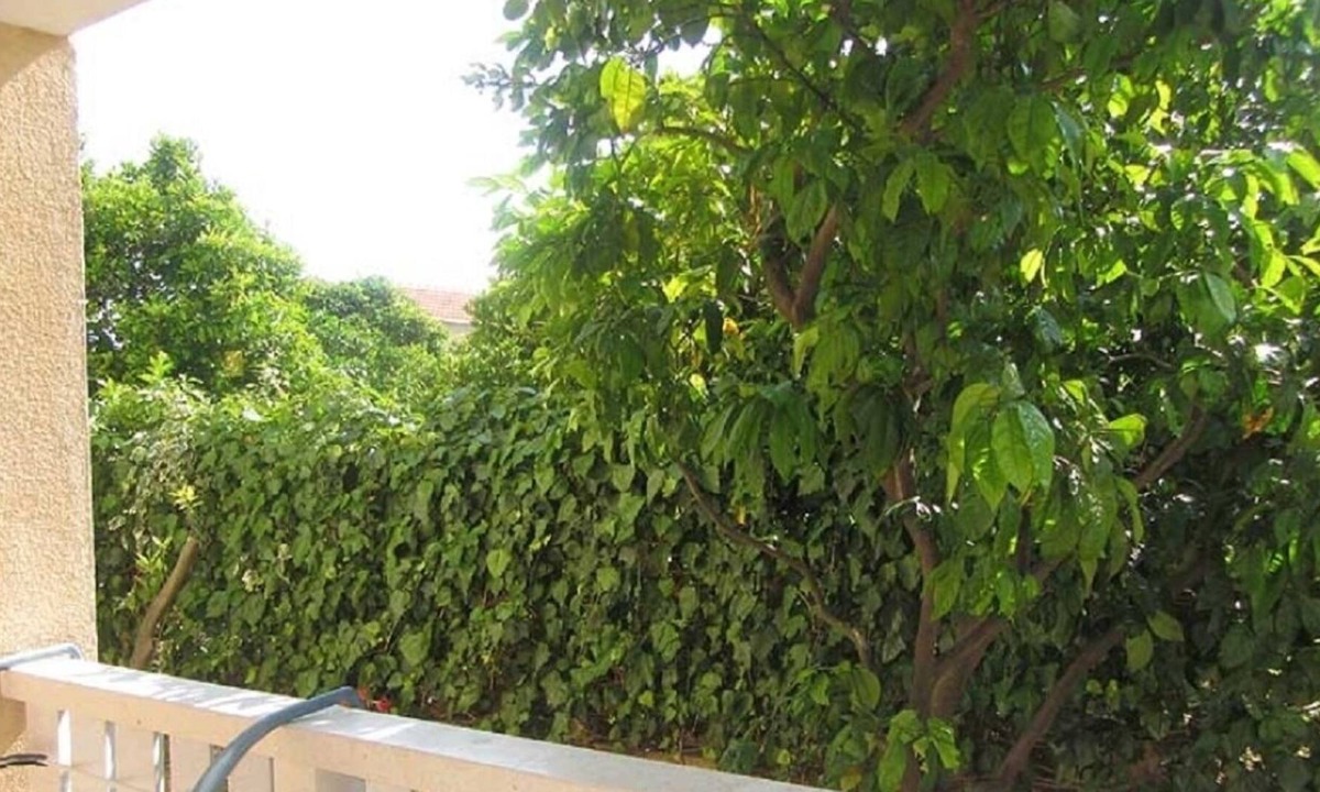 Orebic Apartment | Apartment Ora - Apartments with Pool: SA7(2+1) - Orebic, Peljesac peninsula, Croatia
