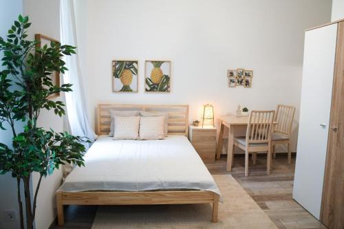 Castle Hill Apartment | Buda Central Mini Studios