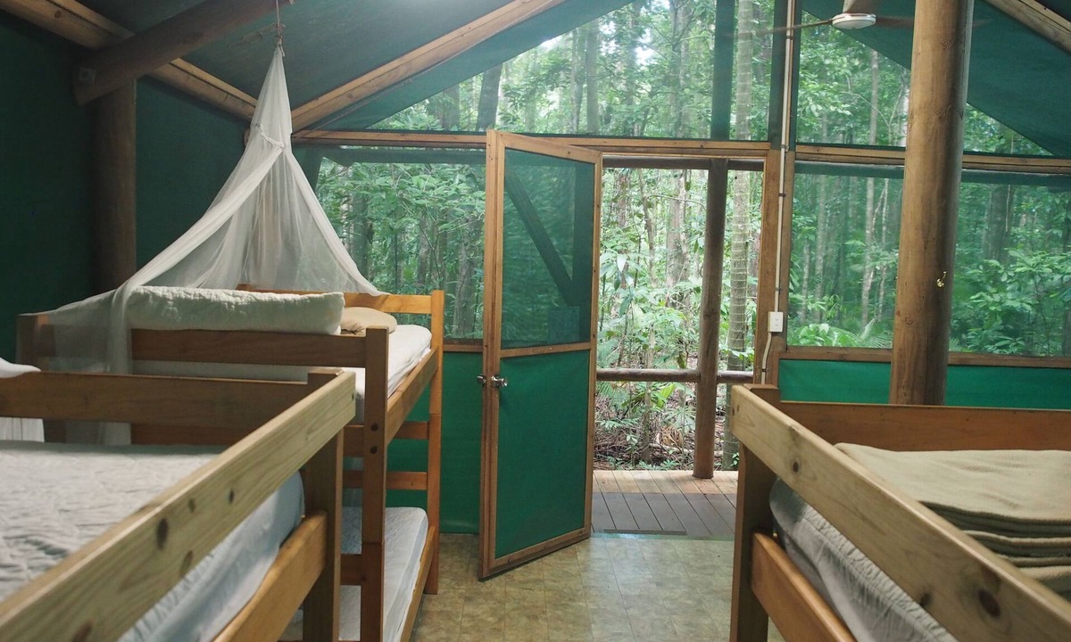 Cow Bay Cabin | Daintree Crocodylus