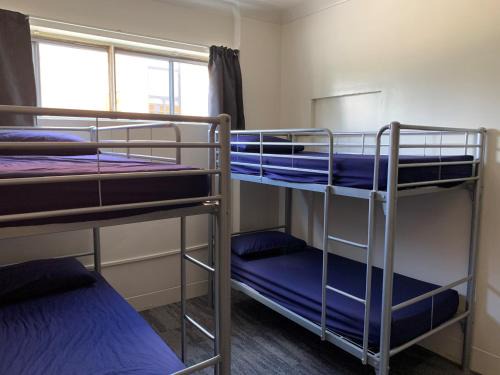 Brisbane Central Business District Hostel | Habitat Backpackers