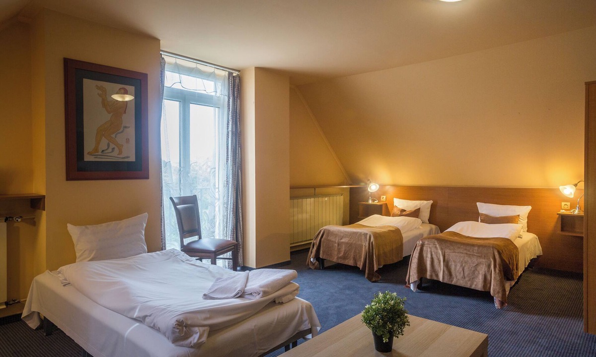 Albertfalva Hotel | Hotel Luna