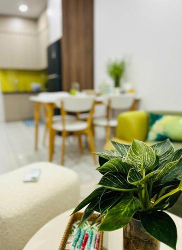 Di An Apartment | Livahome - Bcons City Lux homestay Di An HCMC