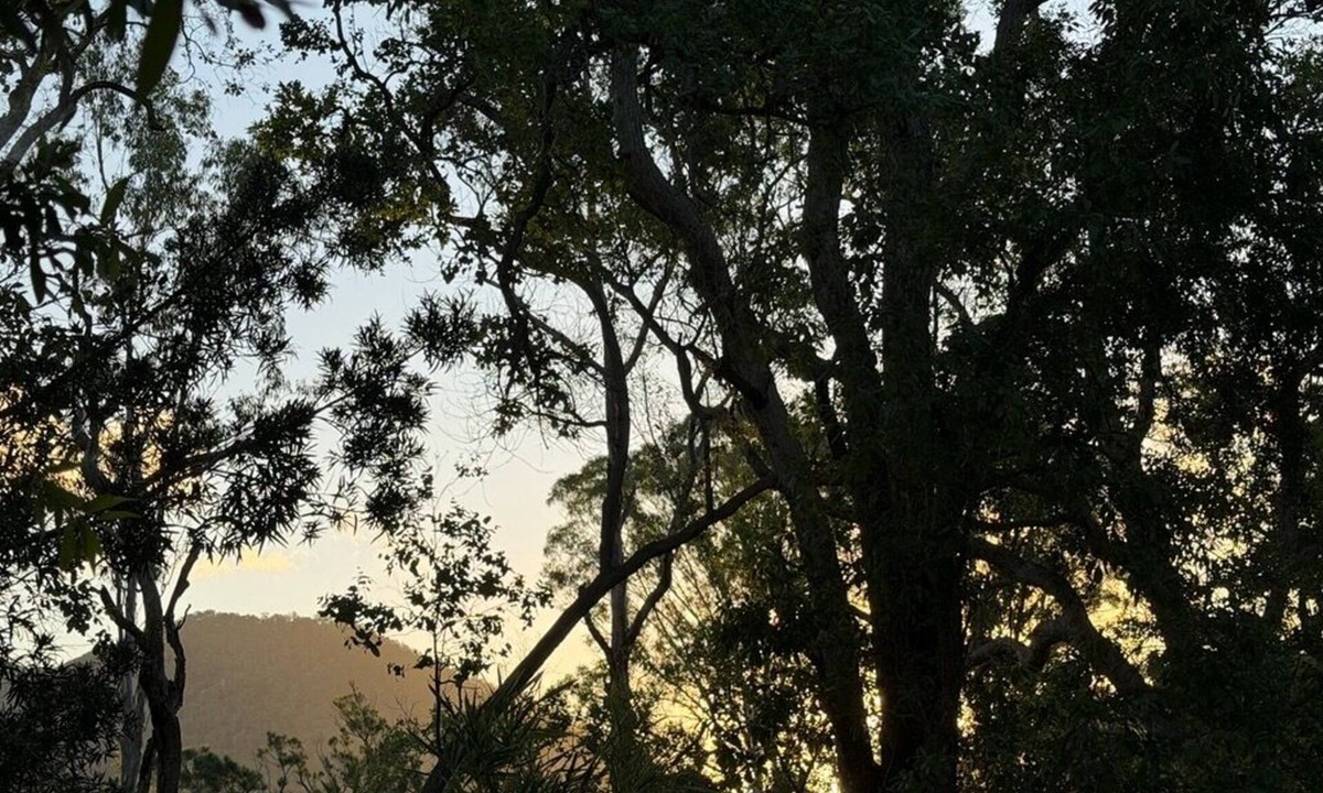 Conondale Cabin | Mary River Hideaway - Bush Turkey Retreat a place to unwind surrounded by nature