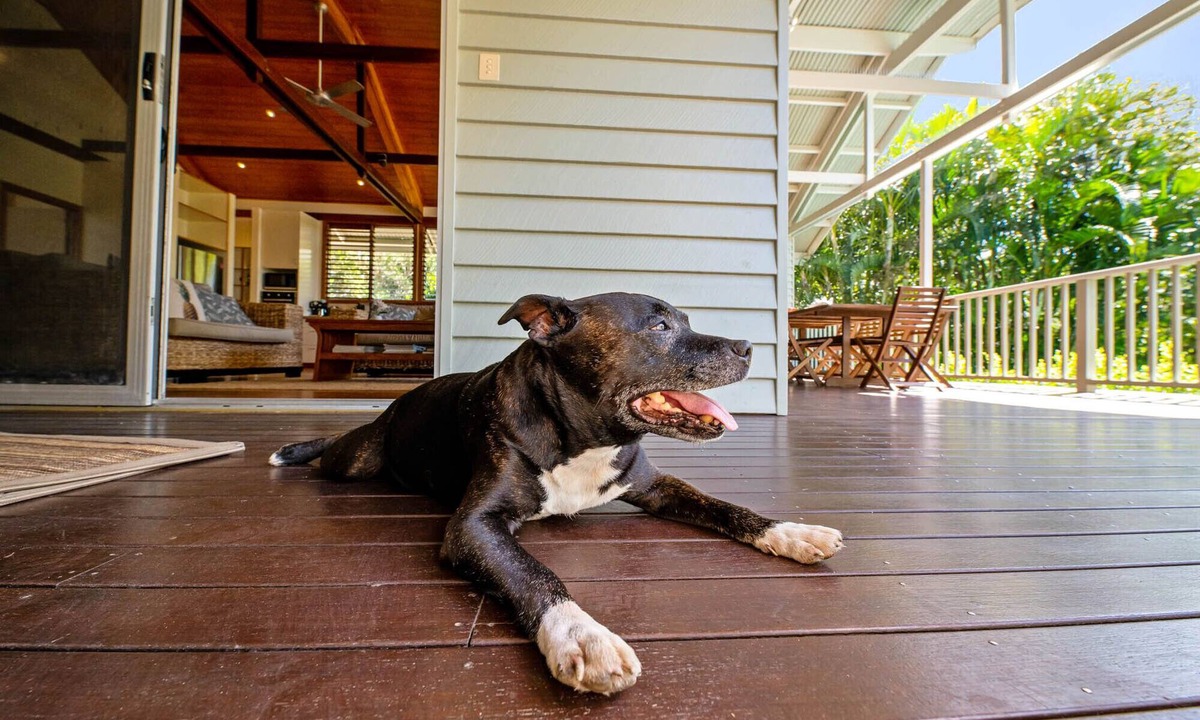 Mudjimba House | Serenity - Eco friendly, pet friendly beach house with pool