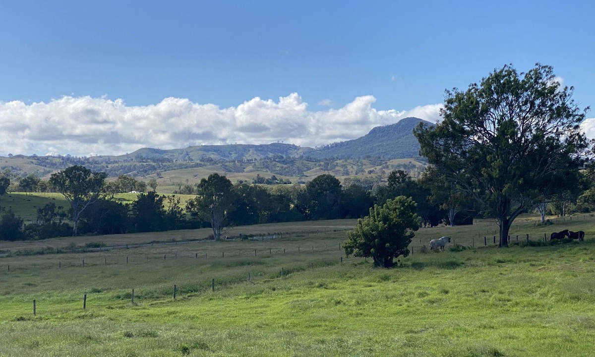 Maroon Other | Shire horse and Clydesdale farmstay