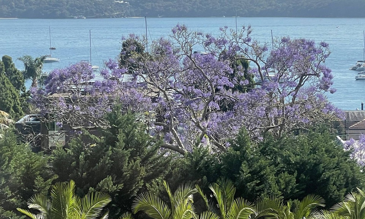 Kings Cross Apartment | Stylish Harbourside Apartment in Elizabeth Bay