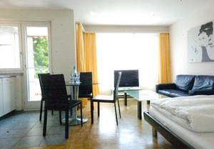 Nice studio with view over the city - Vineyard 52 in Zurich