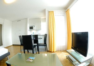 Nice studio with view over the city - Vineyard 52 in Zurich