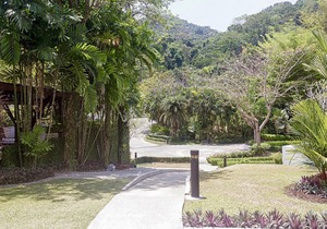 Plantation Apartment Phuket in Phuket