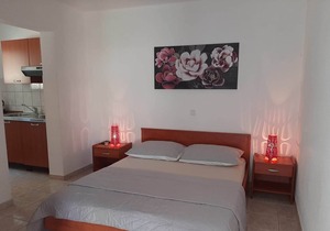 Studio flat with terrace Mokalo, Pelješac (AS-10201-d)