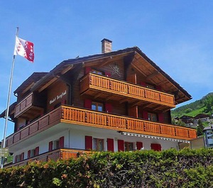 Bergfink 