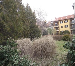 Centrum Apartman 