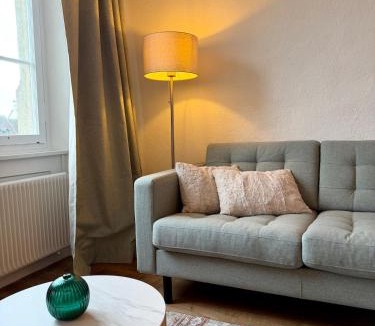 Solothurn Apartment | Aarebar Rooms