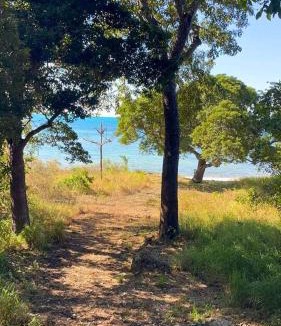 Hideaway Bay House | Absolute Beachfront with Ocean Views 3 Beds plus Pool