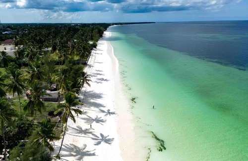 Uroa Hotel | Amani Palms by Manolo Beach Resort