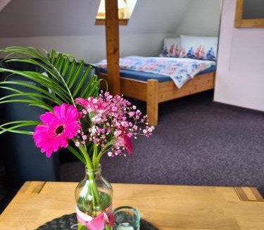 Suhl Apartment | Apartment Schneestern