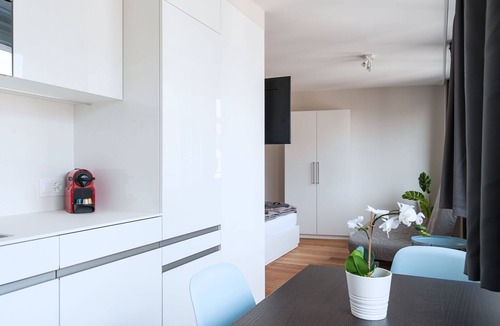 Basel City Centre Apartment | BS Picasso I - Marktplatz HITrental Apartment