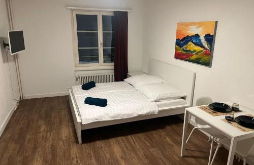 Brugg Apartment | Central Living Brugg - Studio 11