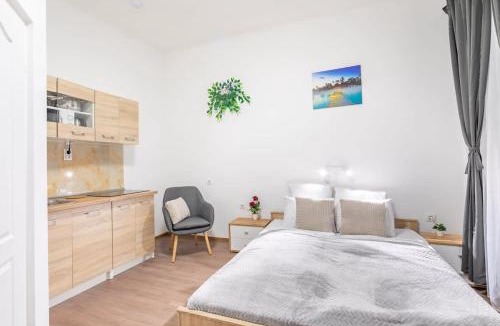Nepszinhaz negyed Apartment | Central Simple Studio