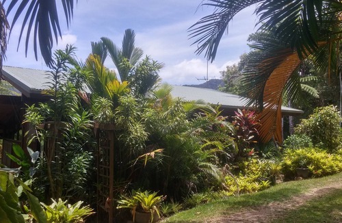Diwan House | Daintree Holiday Homes - The Folly - Nature Retreat Daintree