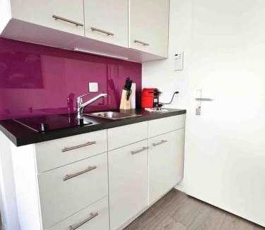 Sihlfeld Apartment | Downtown Deluxe Studio with Queen Bed BE-25