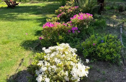 Katoomba Cottage | Great location! 5mins to “3 Sisters” & “Grand Cliff Top Walk”