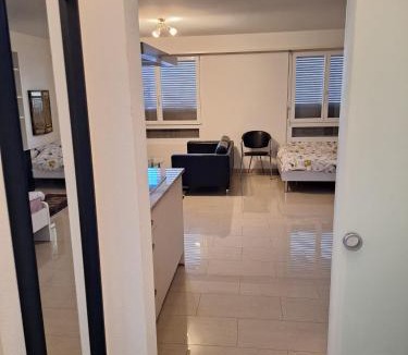 Matthaus Apartment | Grosse 1-Z-Wohnung