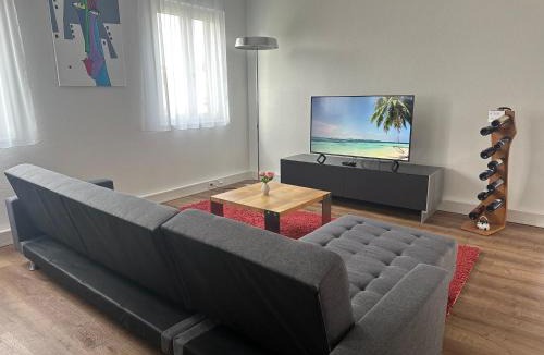 Seengen Apartment | Grosse Einzimmerwohnung/Büro/Showroom