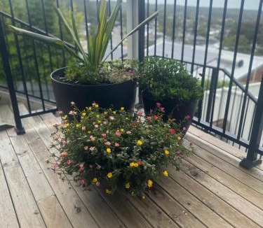 Charlestown Apartment | Guest favourite Ocean Views Breakfast Included