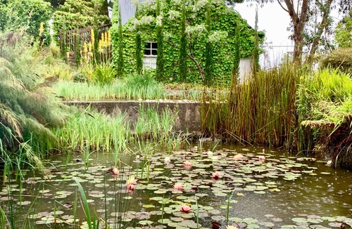 Wentworth Falls House | Hidden beneath a rolling deck, a private spa awaits at The Waterhouse