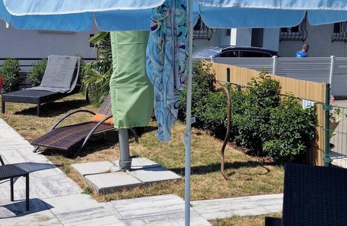 Bevaix Apartment | Homerez - Comfortable studio in Bevaix with mountain view - 30 m² + Spa
