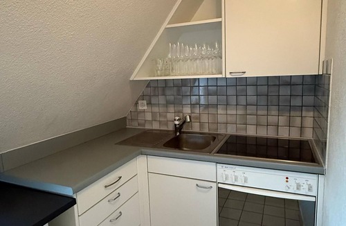 Werd Apartment | Maison Züri Charming Retreat in Wiedikon, Just 16 Minutes from Lake Zurich