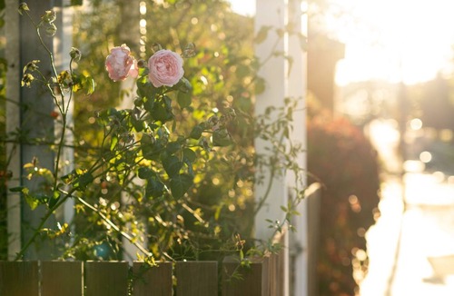 Tenterfield House | Mill Cottage