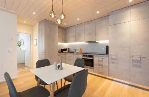 Lungern Apartment | Mountain view with balcony and free parking