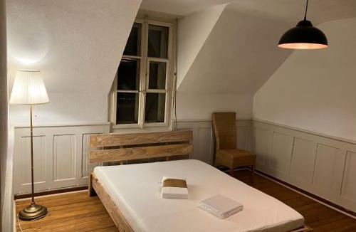 Burgdorf Apartment | Old Rustic Swiss Mansarde 60m2 Center Burgdorf Parking Small Bath