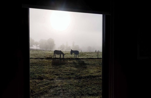 Shannon Brook House | Pasture and Paws by Tiny Away