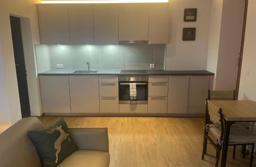 Hünibach Apartment | Ruhiges Studio mit Privatsphäre, Bergblick & Sitzplatz