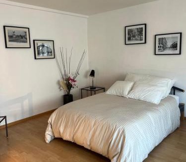Matthaus Apartment | Schweiz (301)