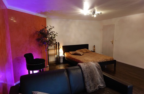 Birmenstorf Apartment | Stylish studio 5 minutes from the ABB research center and the hospital.