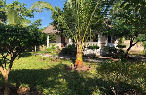 Bwejuu House | Tantaruga s Eden, the hidden treasure in the heart of Zanzibar!