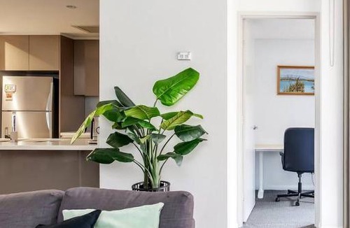 Zetland Apartment | 'The Patio' Live like a Local in Spacious Comfort