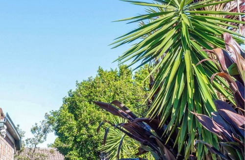 Coomera House | Theme Park Retreat - Sunlit Stillness by the Pool in Coomera