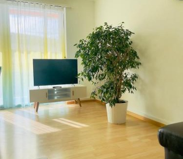 Olten Apartment | Vantage Point 101