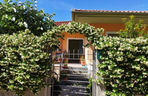 Agria House | View House