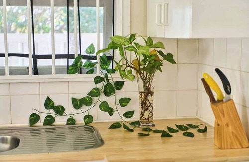 Labrador House | Vintage Coastal House | Fenced Pet-Friendly Yard