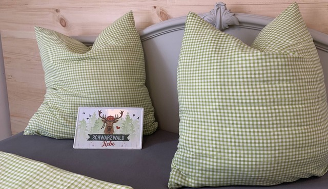 Apartment 'Bee Home' with Mountain View, Private Terrace and Wi-Fi in Schuttertal