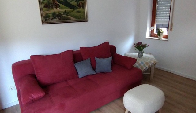 Apartment Black Forest in Ortenberg