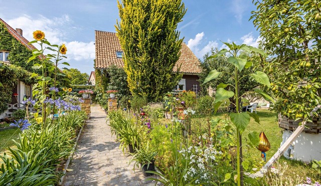Apartment 'Für 3 Personen 60 M²' with Shared Garden, Balcony and Wi-Fi in Harzgerode