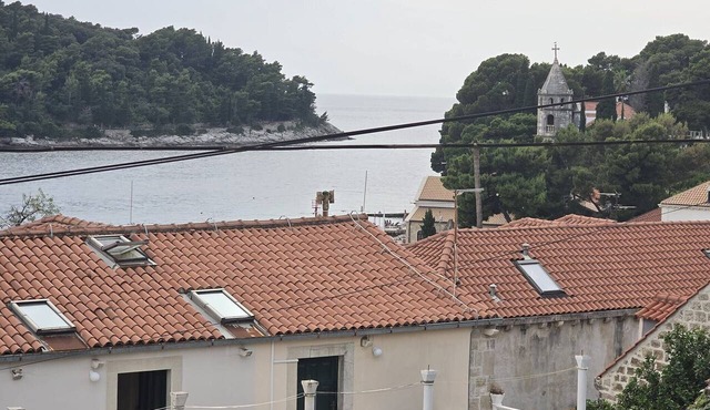 Apartment Saul Cavtat - One Bedroom Apartment with Terrace and Sea View