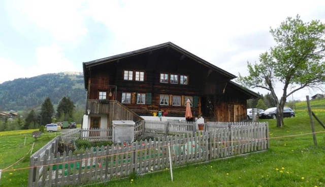 Apartment Tüllerhus in Gstaad